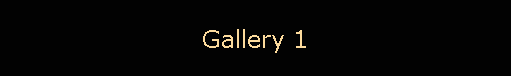 Gallery 1