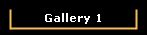 Gallery 1