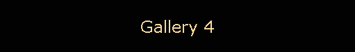 Gallery 4