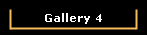 Gallery 4