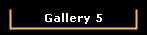 Gallery 5