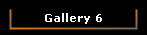 Gallery 6