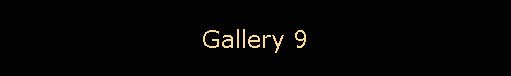 Gallery 9