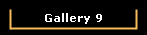 Gallery 9