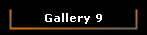 Gallery 9