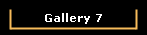 Gallery 7