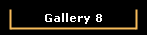 Gallery 8