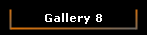 Gallery 8